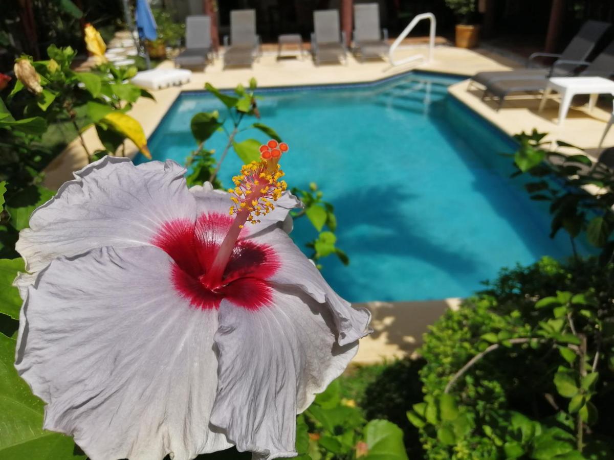 Villa Botero By Casa Mojito Santa Clara (Cocle) Exterior foto
